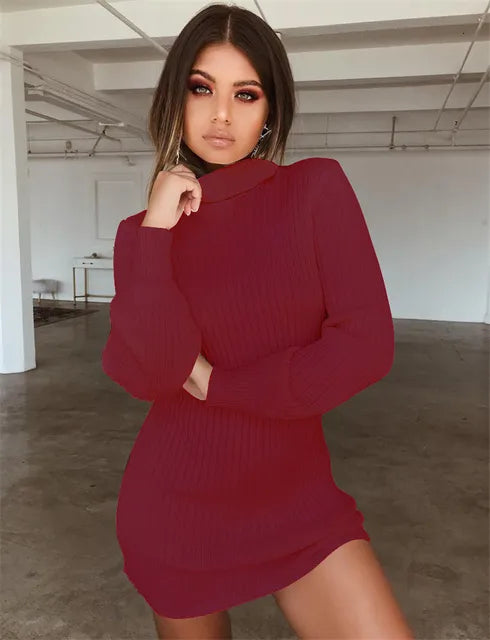 Autumn Knitted Long Sleeve Dress Solid Pullover Turtleneck Bodycon Dress