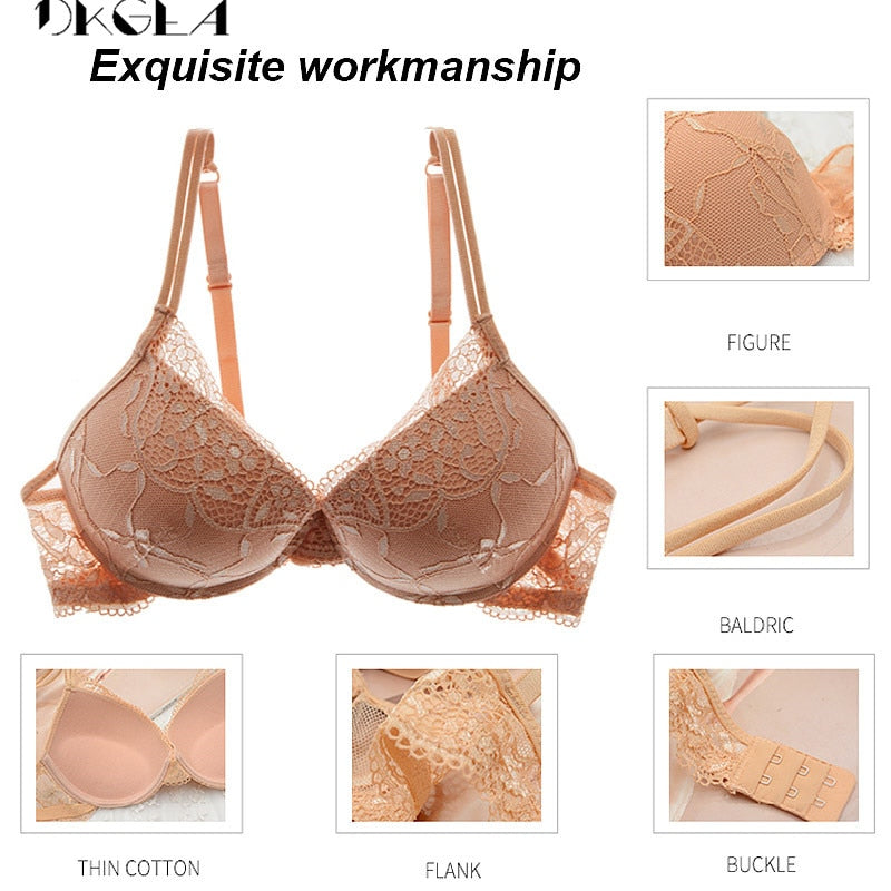 Set Lace Lingerie ABC Cup Push up Bra Sets