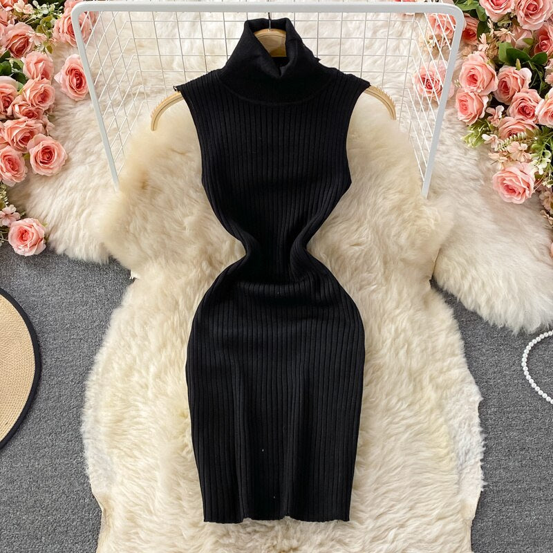 Turtleneck Knit Dress Women Fashion Autumn 
