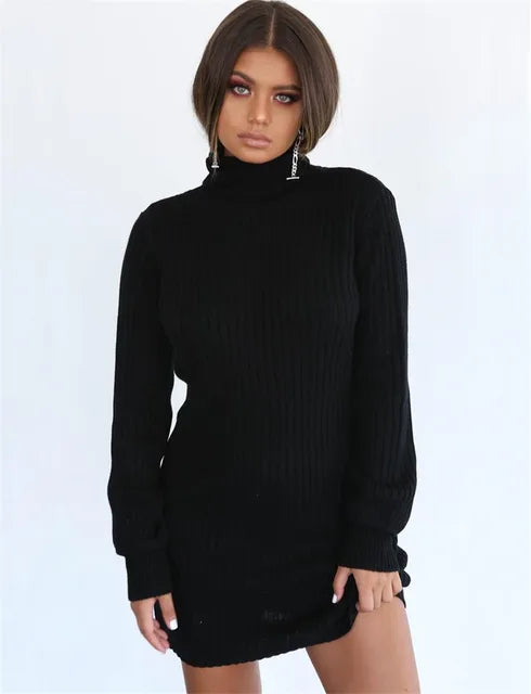 Autumn Knitted Long Sleeve Dress Solid Pullover Turtleneck Bodycon Dress 
