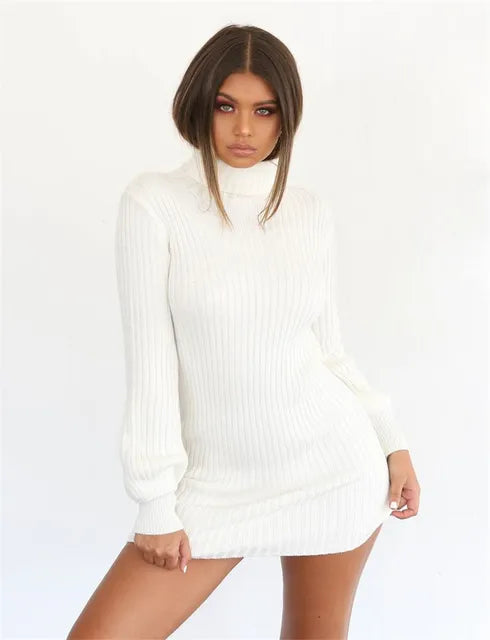 Autumn Knitted Long Sleeve Dress Solid Pullover Turtleneck Bodycon Dress 