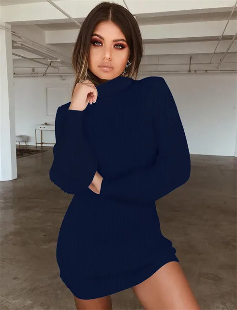 Autumn Knitted Long Sleeve Dress Solid Pullover Turtleneck Bodycon Dress 