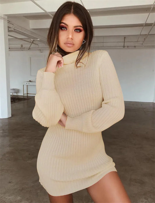Autumn Knitted Long Sleeve Dress Solid Pullover Turtleneck Bodycon Dress