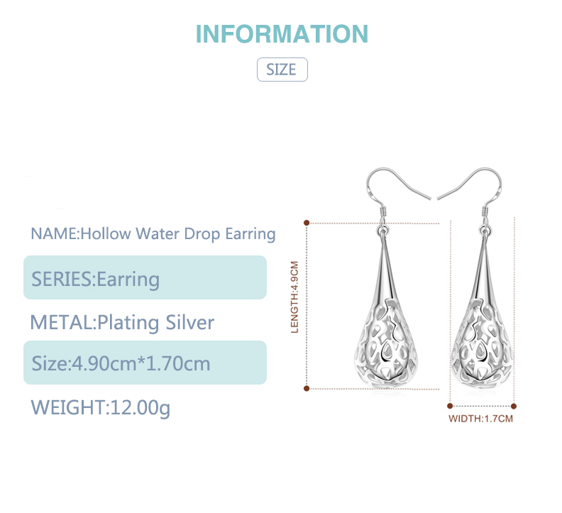 925 Silver Hollow Teardrop Long Earrings