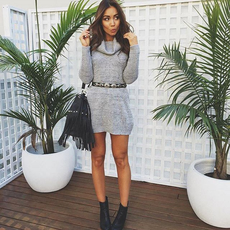 Women Winter Dress
