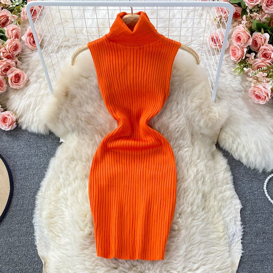 Turtleneck Knit Dress Women Fashion Autumn 