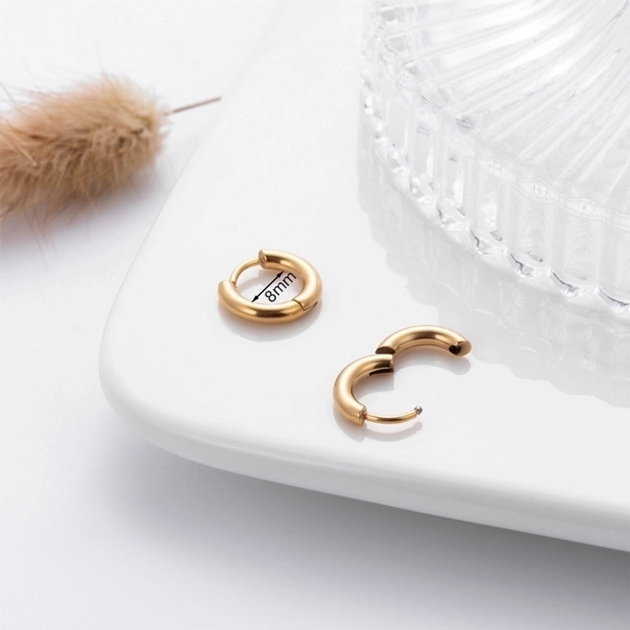 Stainless Steel  Earrings